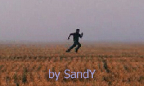   - 
:   (2009), Run (2013)
: SandY
: 4.3