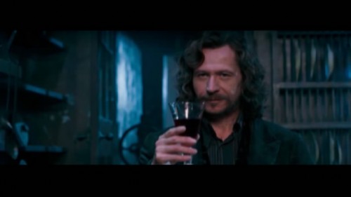 Harry Potter & Sirius Black - Not Miracle