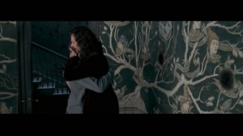 Harry Potter & Sirius Black - Not Miracle