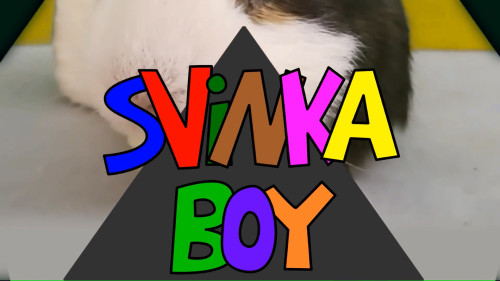 Svinka Boy