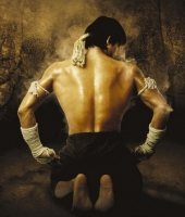 Jay Chow - Fearless OST
Video: Ong Bak
Автор: chyvak33
Rating: 4.1