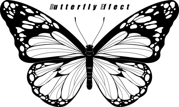 Butterfly Effect